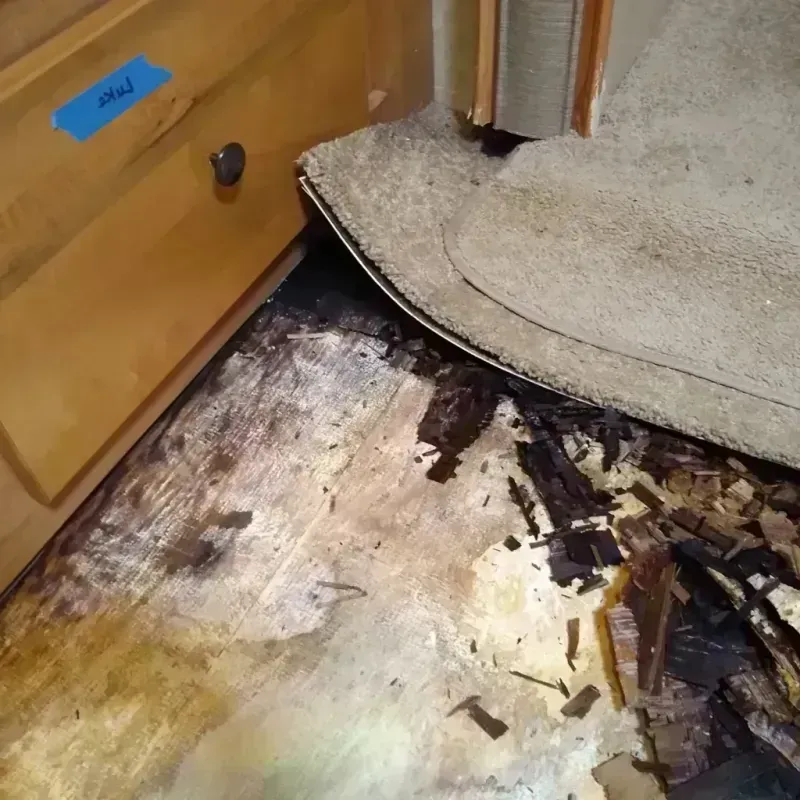 Best Wood Floor Water Damage Service in Chagrin Falls, OH